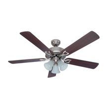 Hunter Fan Company Ceiling Fan