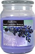 3297404 18 Oz Candle Jar